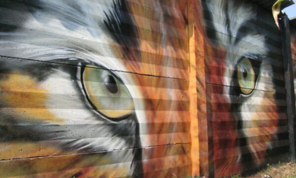 acme107,graffiti