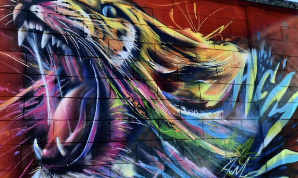 graffiti,acme107