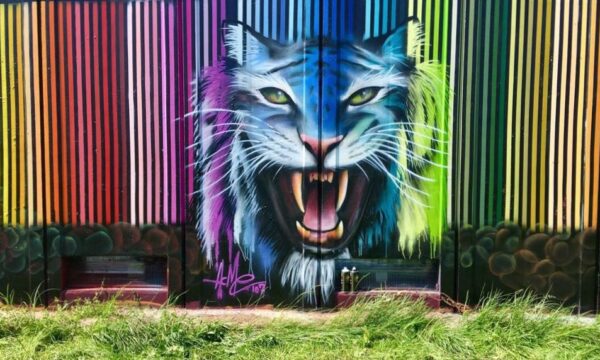 graffiti,acme107,art,torino,tigergraffiti