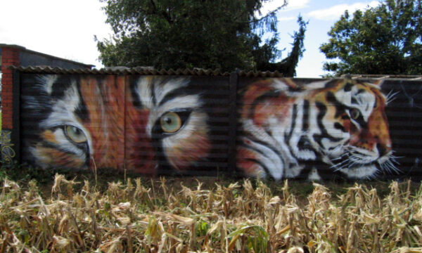 acme107,graffiti,2008,milano